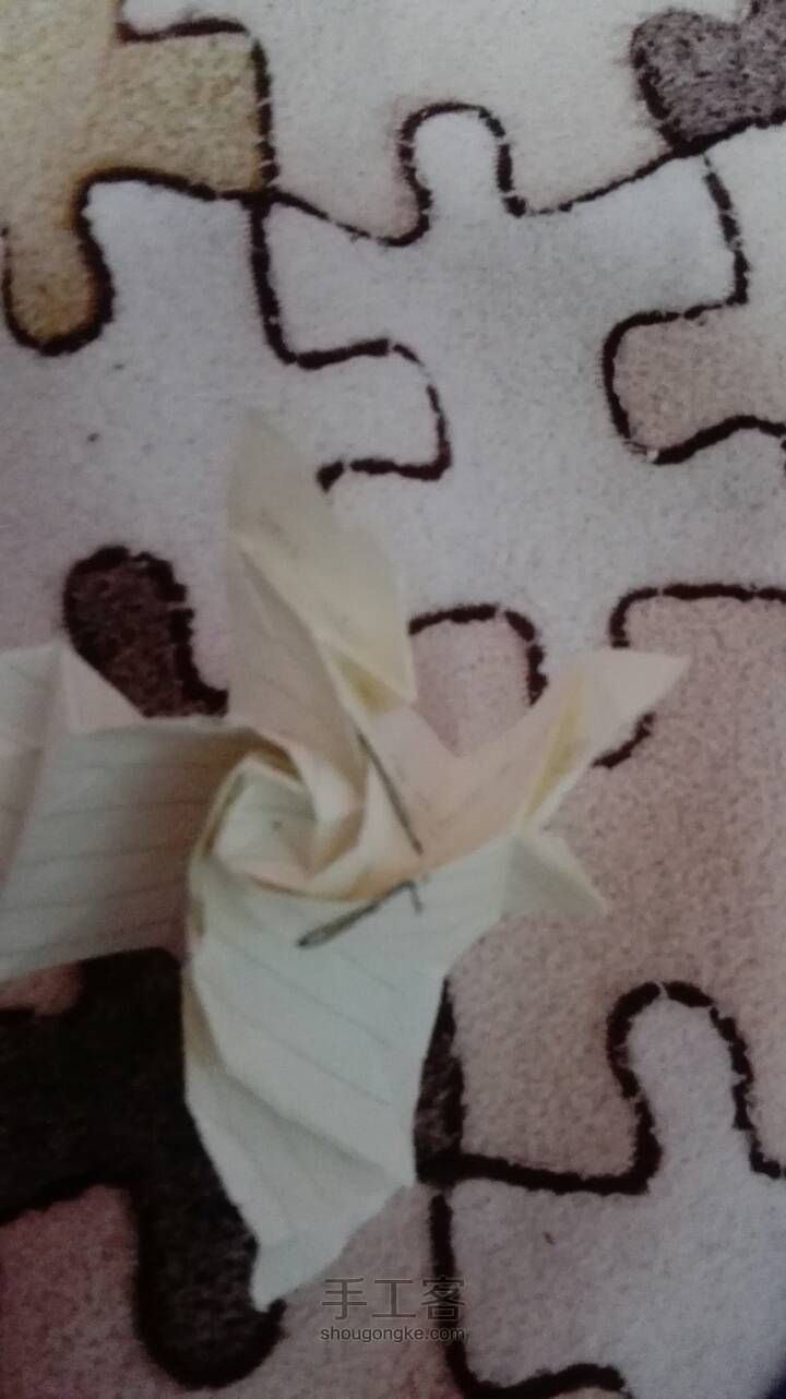 白玫瑰 第30步