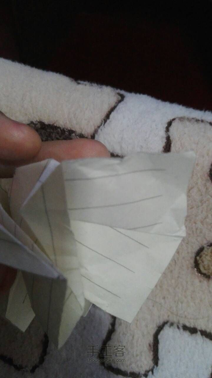 白玫瑰 第32步