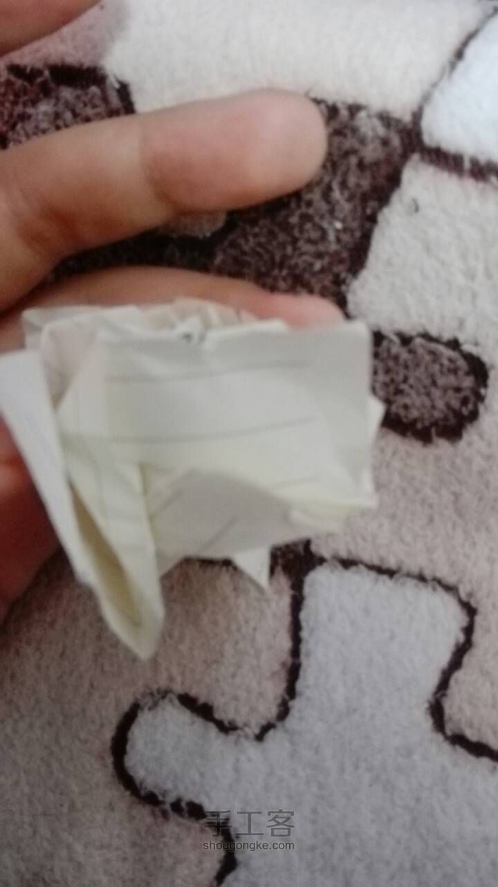 白玫瑰 第33步