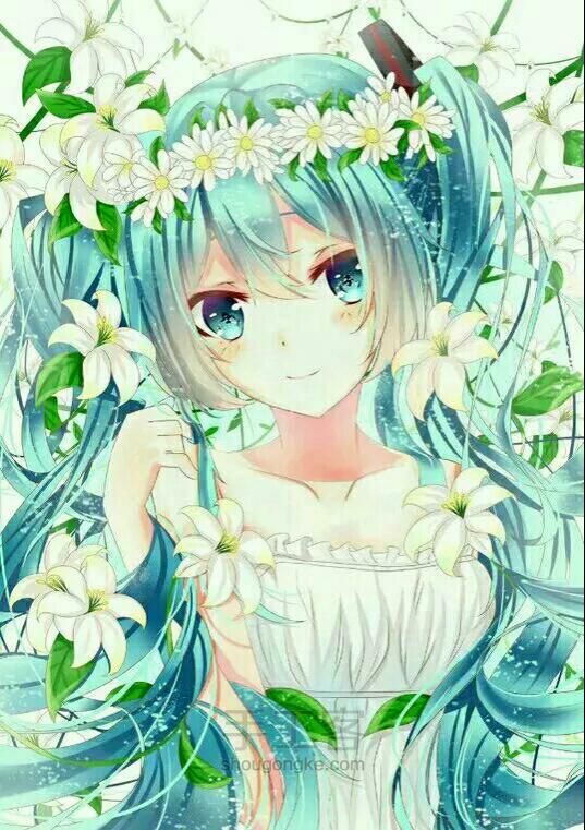 美少女 第11步