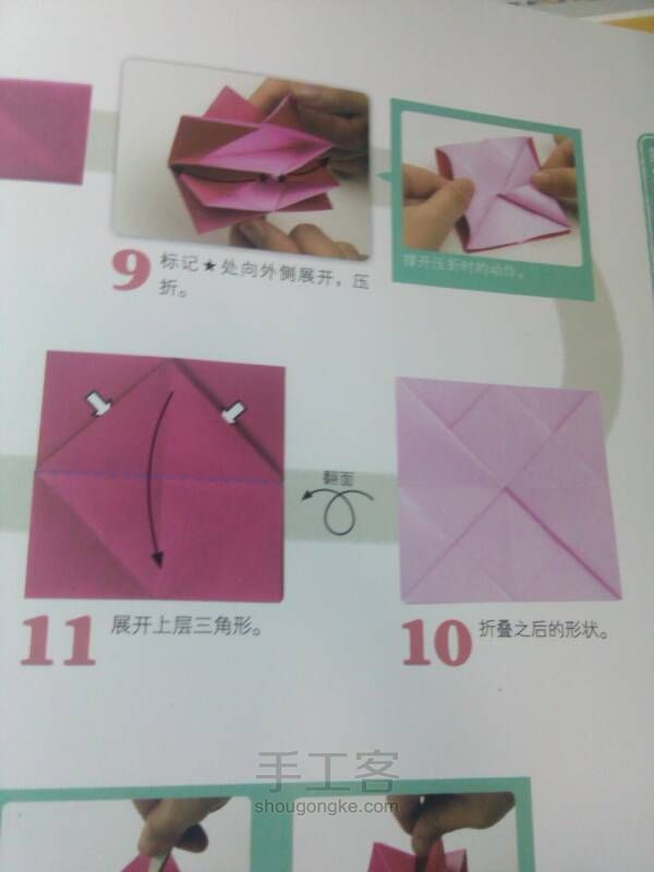 玫瑰花 第10步