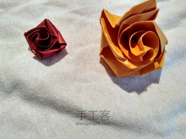 简单美丽的玫瑰花🌹 第17步