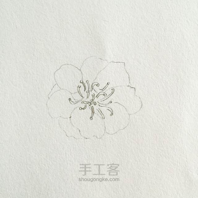 一花一世界 第2步