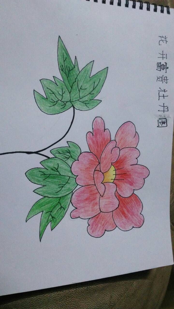 花的简单画法之牡丹 第7步