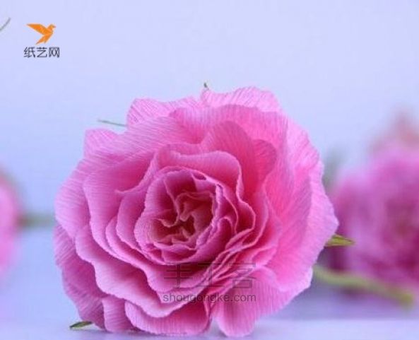 用皱纹纸制作的大红花【转载】 第5步
