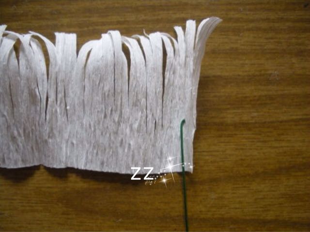 皱纸孔雀草制作方法 第5步