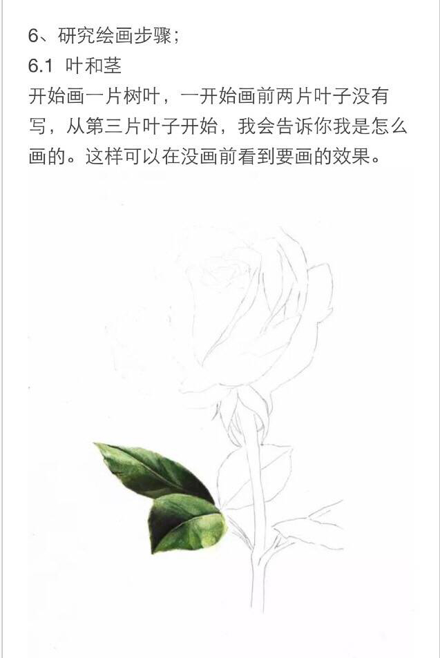 【情人节最美礼物，学画一朵彩铅玫瑰吧！】 第5步