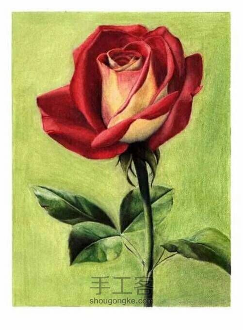 【情人节最美礼物，学画一朵彩铅玫瑰吧！】 第17步