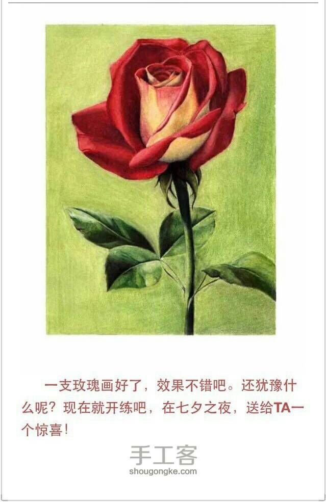 【情人节最美礼物，学画一朵彩铅玫瑰吧！】 第18步