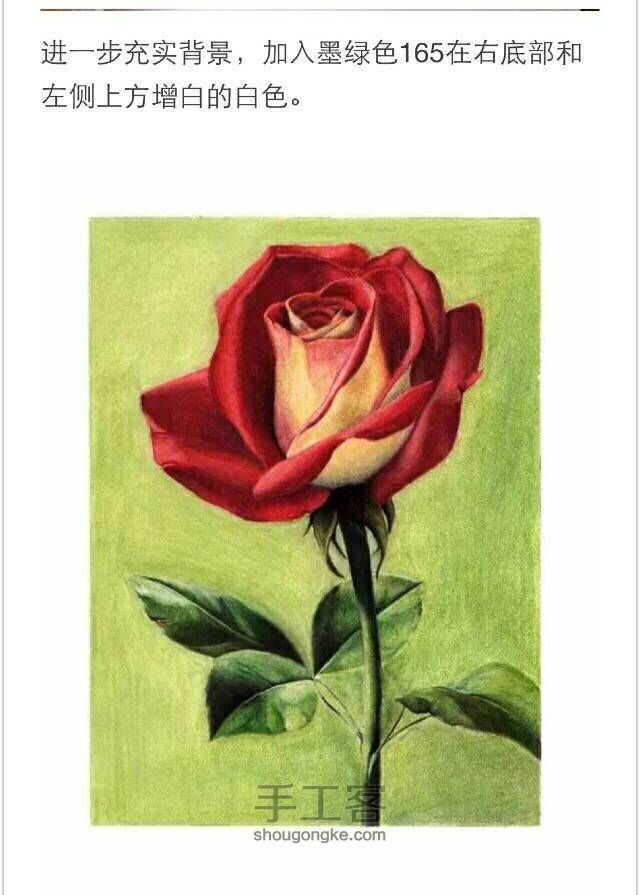 【情人节最美礼物，学画一朵彩铅玫瑰吧！】 第16步