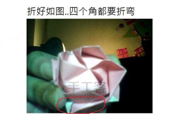 玫瑰花 第51步