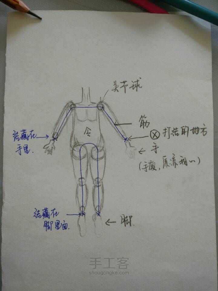 可动金木君 第2步