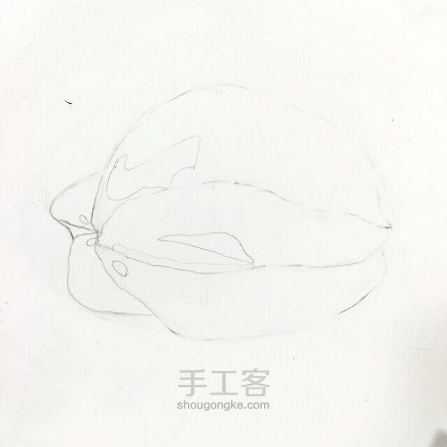 一颗杨桃 第9步