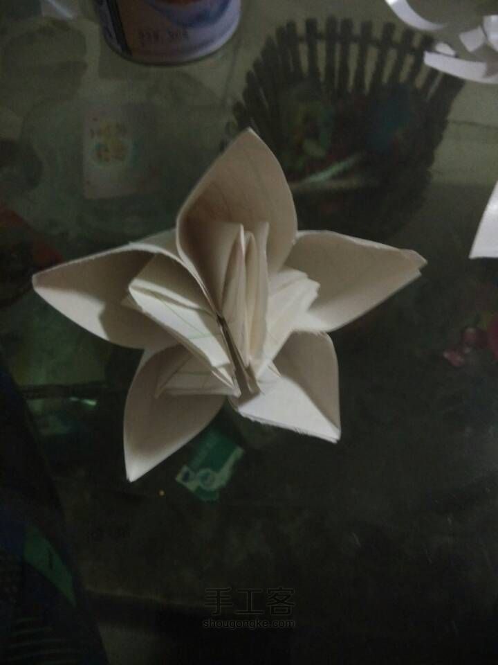 漂亮的樱花 第17步