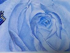 第一次画玫瑰，是送给老公的，画的略微有一点点惨…大家轻喷~