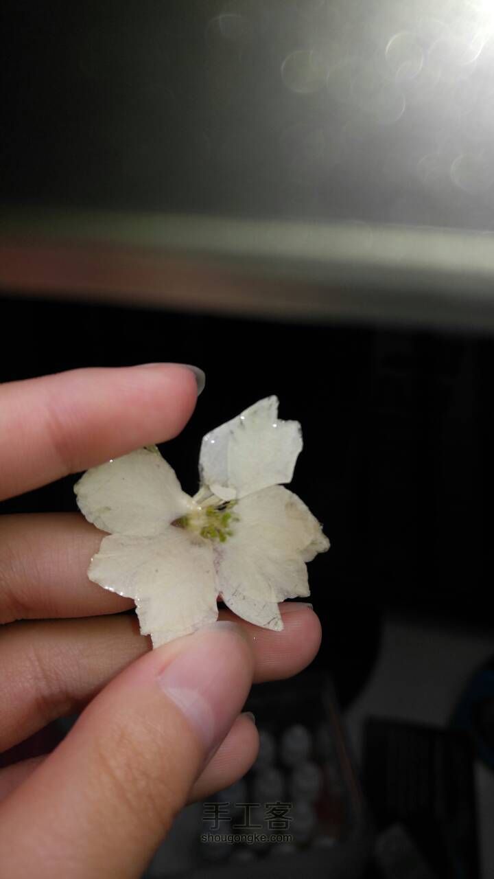 滴胶干花饰物 第7步