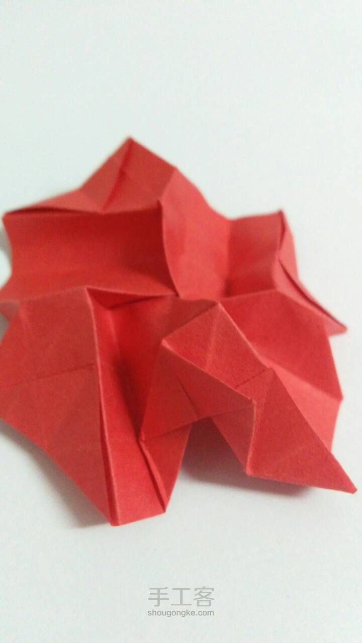 「折纸」玫瑰花2 第45步