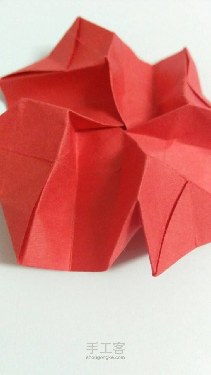 「折纸」玫瑰花2 第43步