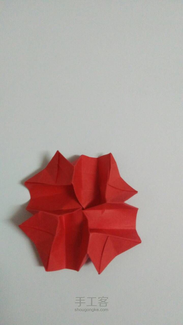 「折纸」玫瑰花2 第42步