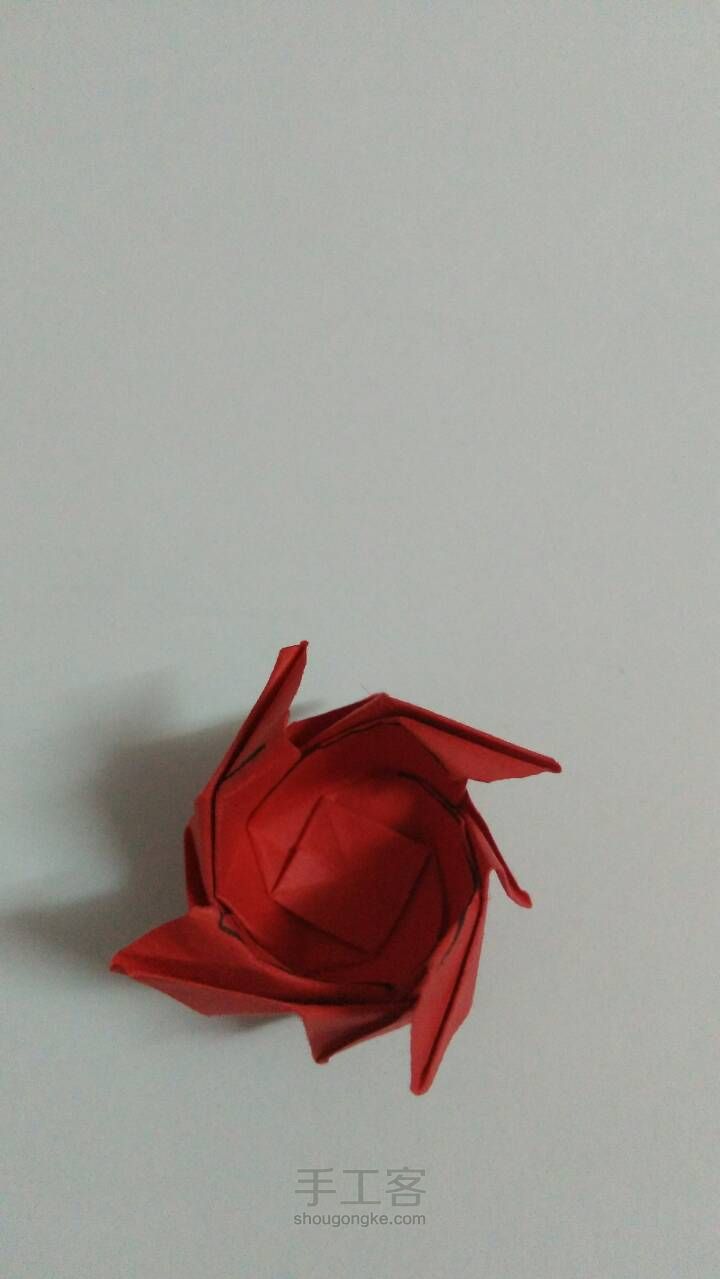 「折纸」玫瑰花2 第53步