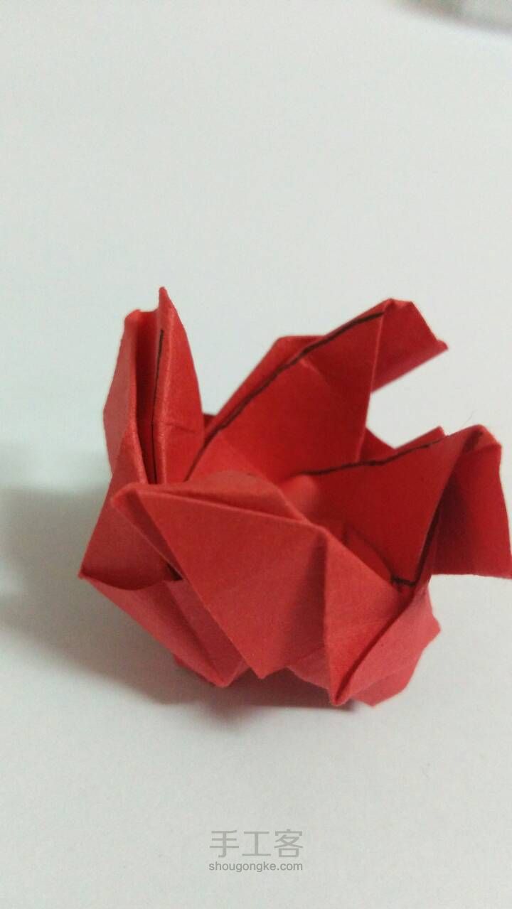 「折纸」玫瑰花2 第52步