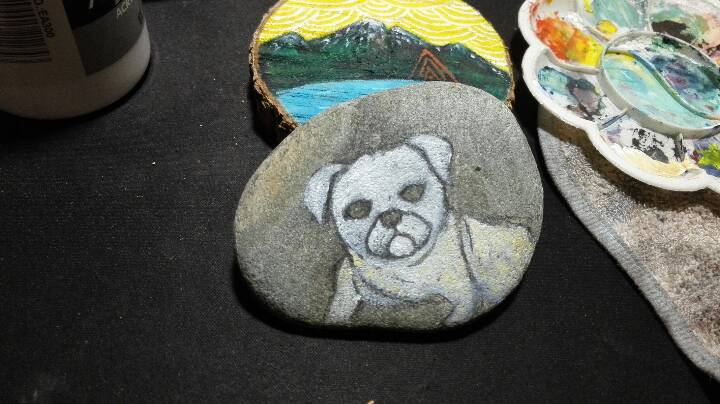 【赖大宝】原创手绘石头 八哥犬 第2步