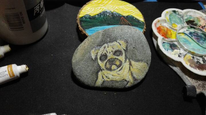 【赖大宝】原创手绘石头 八哥犬 第4步