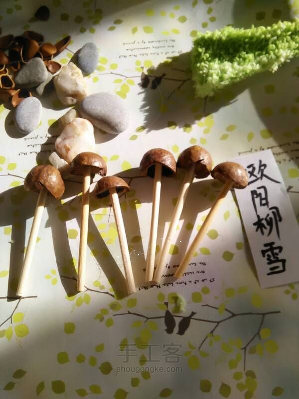 果壳蘑菇 第3步