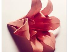 我折的纸花