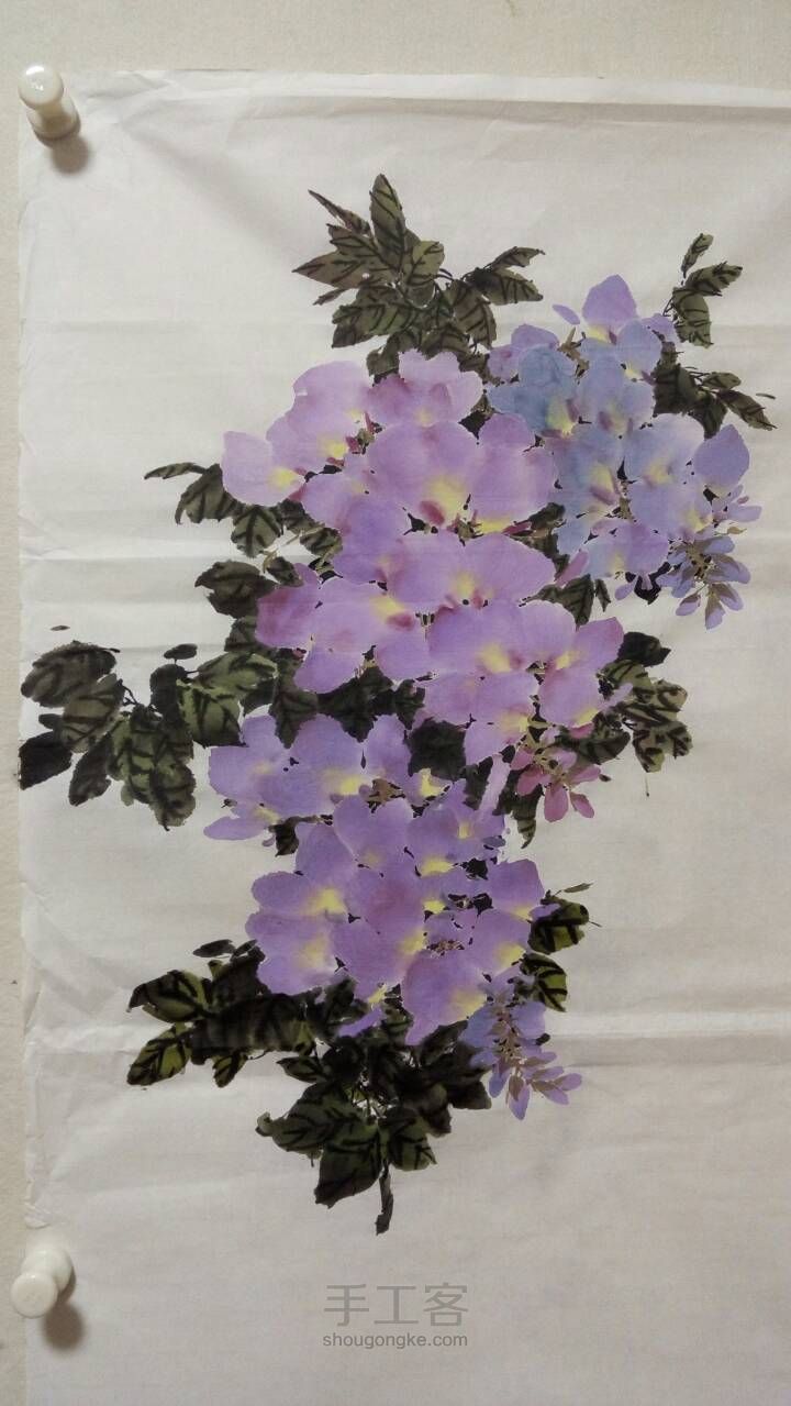 国画紫藤的一种画法 第10步