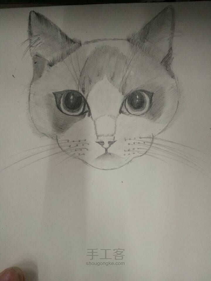 猫咪 第3步