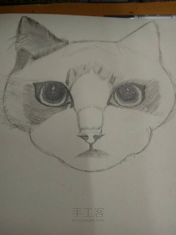 猫咪 第2步