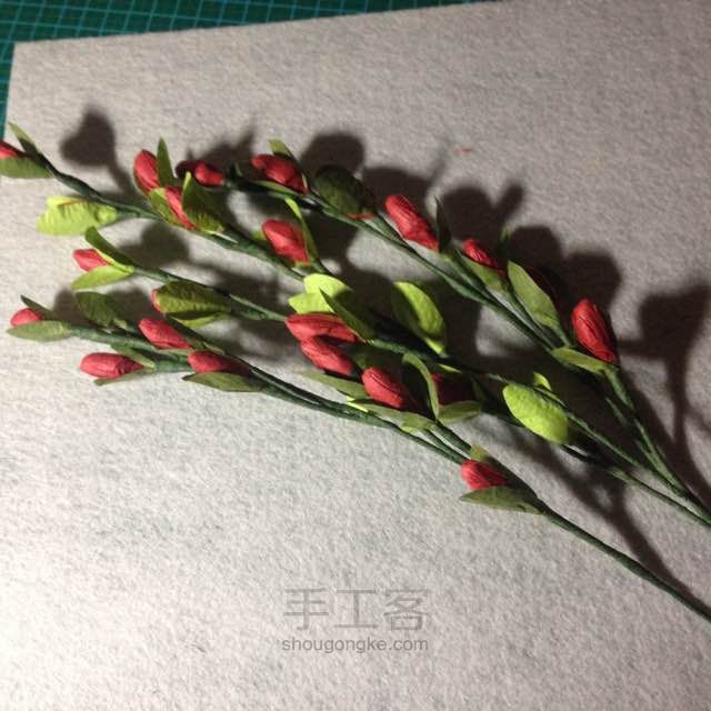 红豆 第8步