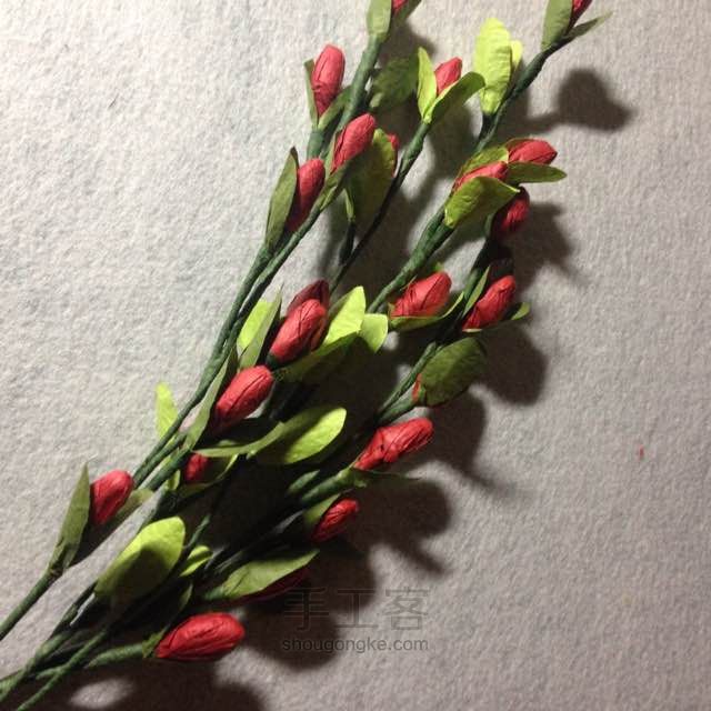 红豆 第10步