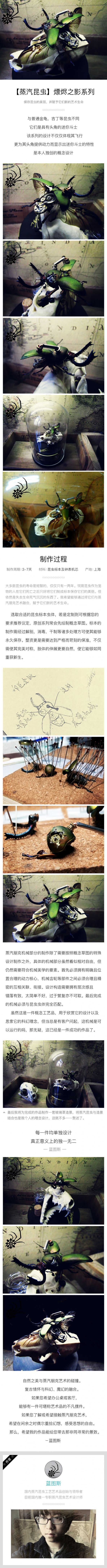 【蒸汽昆虫】蒸汽朋克 艺术摆件  熛烬之影系列 印尼金锹 第1步