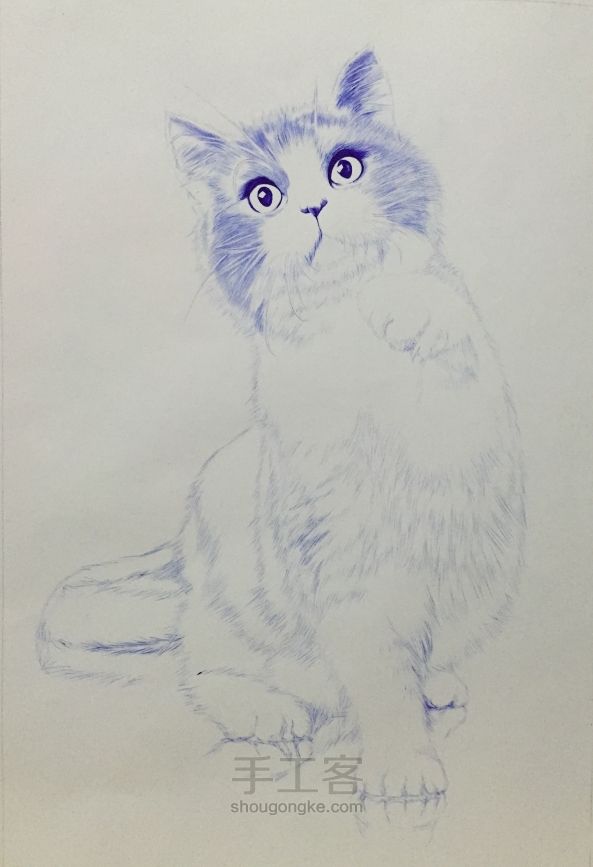 圆珠笔手绘定制——猫咪 第2步
