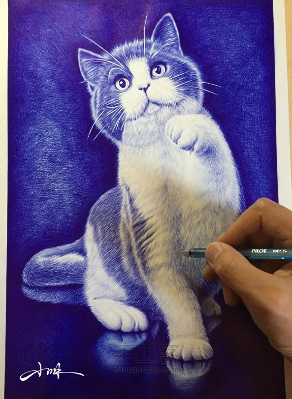 圆珠笔手绘定制——猫咪 第7步