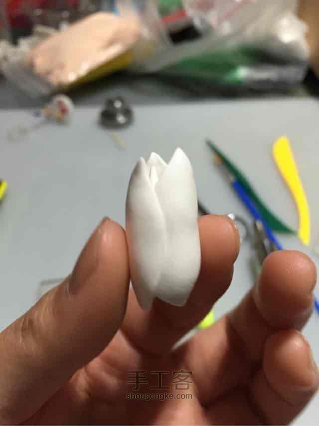 荷花仙子 第6步