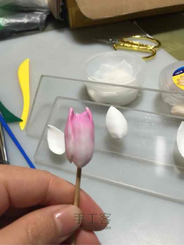 荷花仙子 第10步