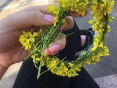最近菜花正在盛开 黄灿灿的 大家去看花的时候不妨带一小卷绳子 或者一根细铁丝 尼龙绳 包装绳什么的 编个花环戴在头上 也蛮有趣的 我是看见院子里有一颗芸薹属的花开花了 突然想起来 所以没有花海做背景了 这个花环 简单 快捷 就是突出一个快 其它的 照片就拼颜值了