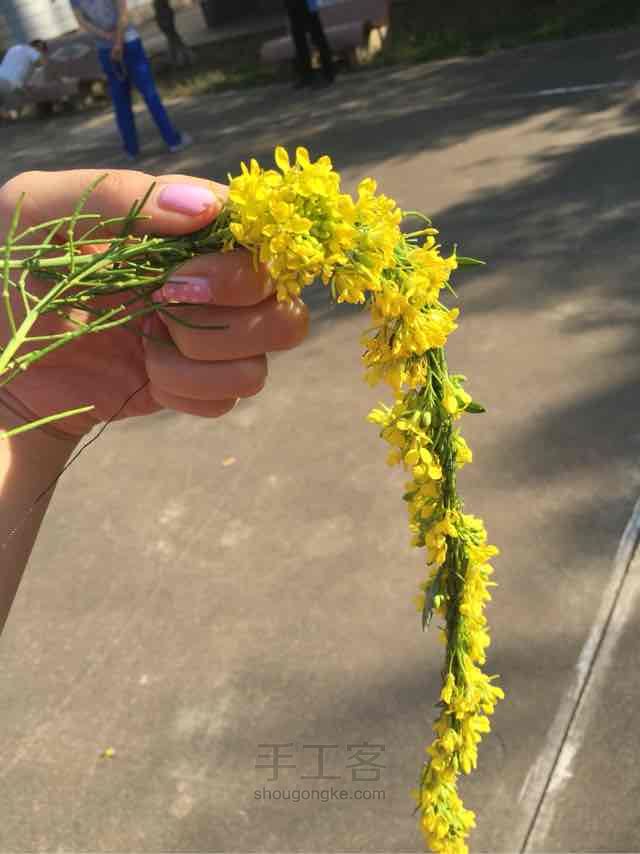 五分钟 赏油菜花应景花环！ 第4步