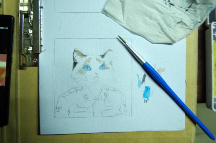 水彩手绘布偶猫     猫咪肖像画   匹诺曹工作室 第2步