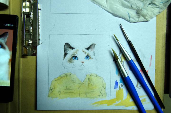 水彩手绘布偶猫     猫咪肖像画   匹诺曹工作室 第3步