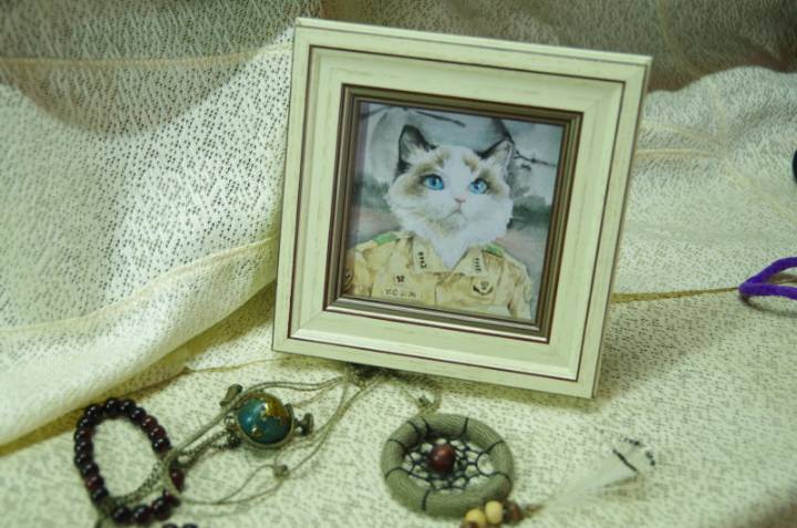水彩手绘布偶猫     猫咪肖像画   匹诺曹工作室 第5步
