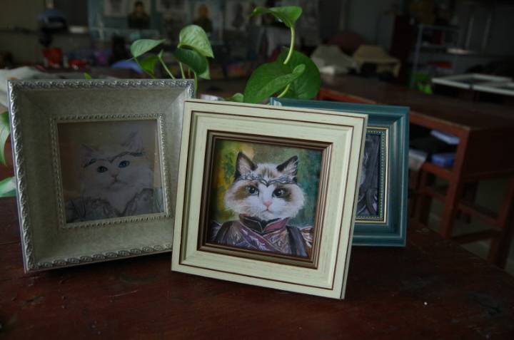 水彩手绘布偶猫     猫咪肖像画   匹诺曹工作室 第7步