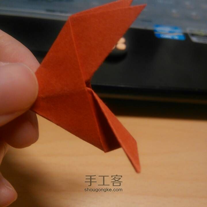 折纸——小鸟教程 第15步