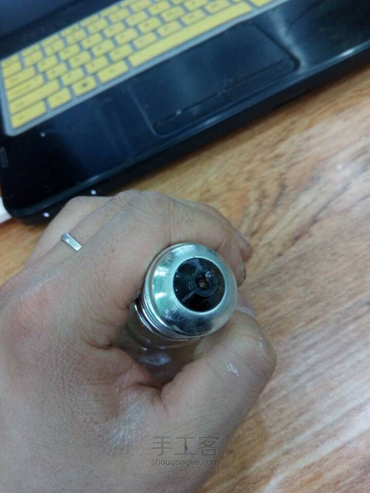如何在灯泡中种花 第4步