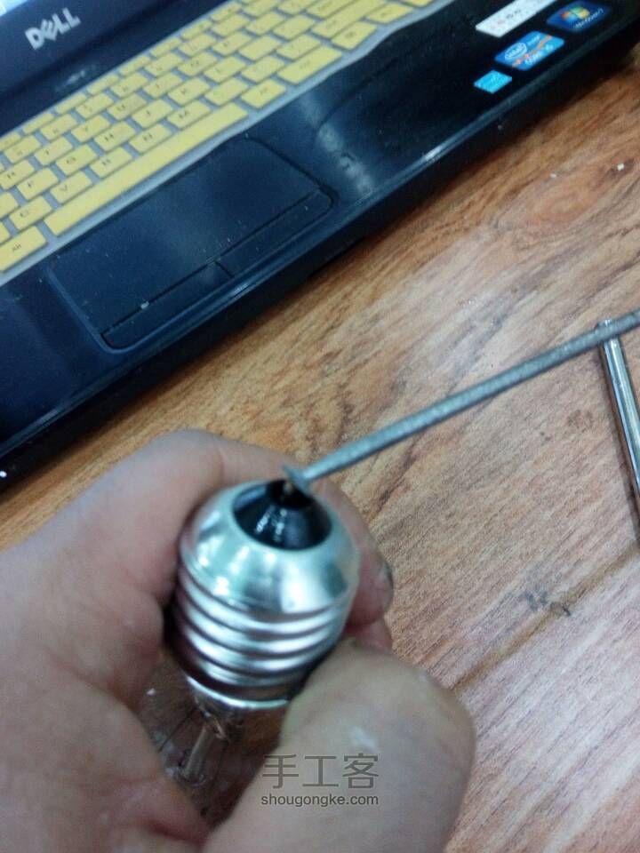 如何在灯泡中种花 第3步