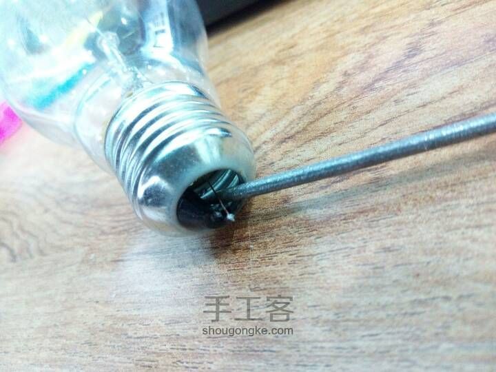 如何在灯泡中种花 第5步