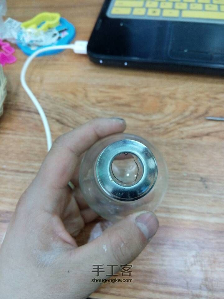 如何在灯泡中种花 第8步